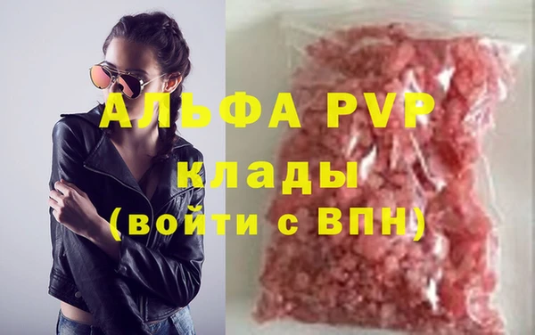 индика Пестово