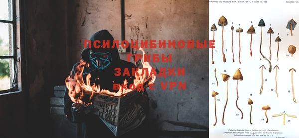стафф Переславль-Залесский