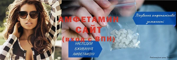 индика Пестово