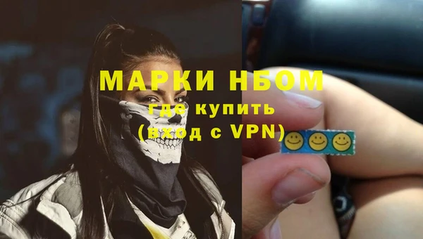 индика Пестово