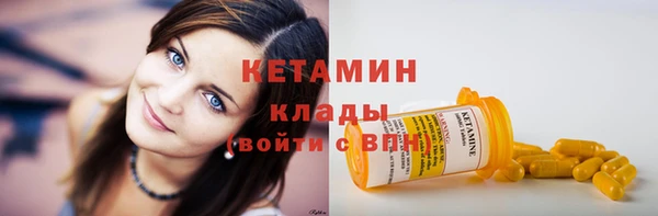индика Пестово