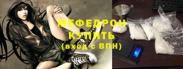 индика Пестово