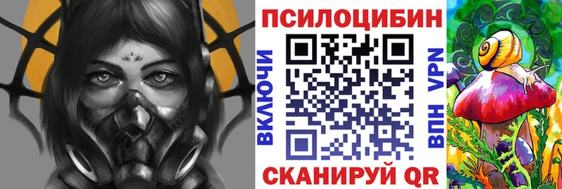 Псилоцибиновые грибы Magic Shrooms  купить закладку  маркетплейс телеграм  Аркадак 